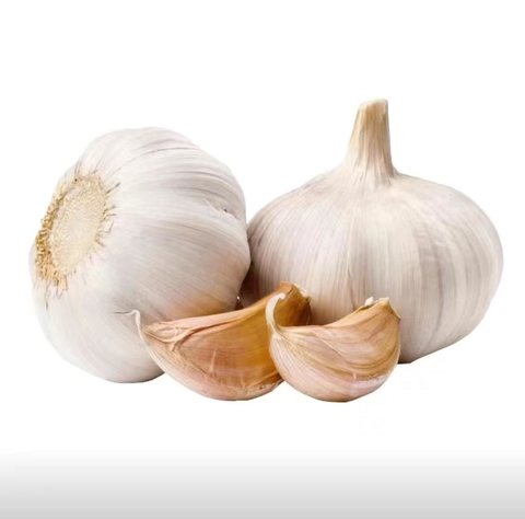 大蒜
